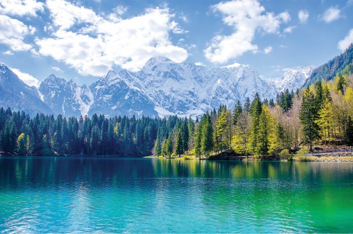 Fotomural Mountain Lake