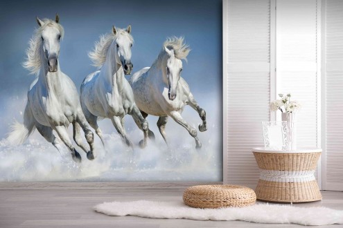 Fotomural Heaven Horses