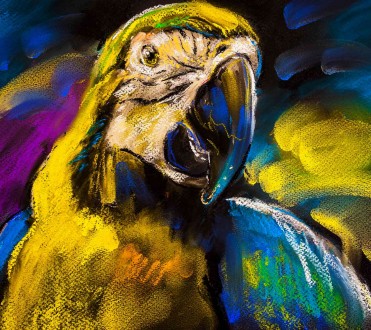 Fotomural Amazonia Parrot