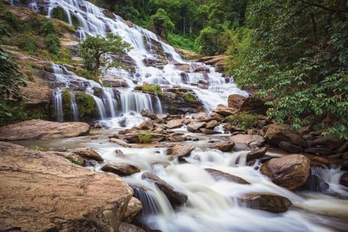 Fotomural Jungle Waterfall